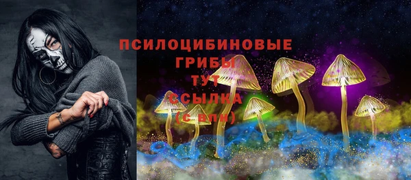 бошки Магас
