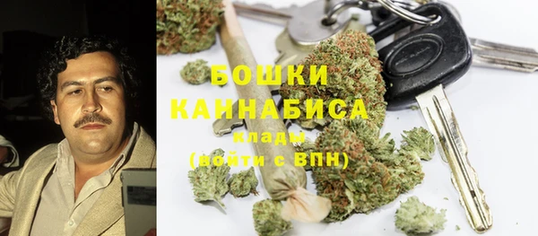 сатива Магадан