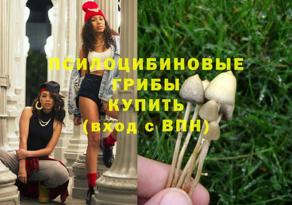сатива Магадан
