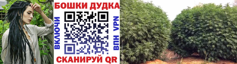 Канабис MAZAR  Среднеколымск 